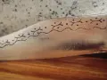 Големи Габровски Сойки Етъра, снимка 6