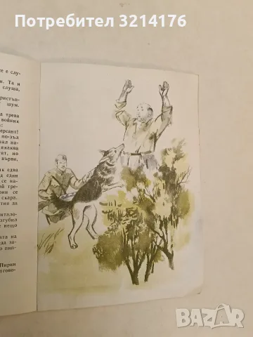 Приключенията на Илко граничарчето - Борис Крумов (1969), снимка 2 - Детски книжки - 55471110