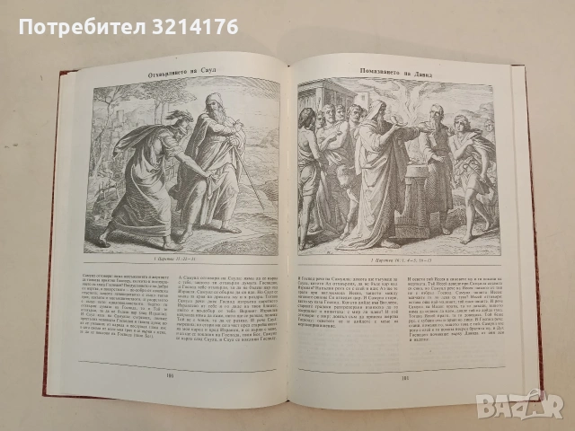 Илюстрирана Библия. 240 гравюри на дърво от Юлиус Шнор фон Каролсфелд - Юлиус Шнор фон Каролсфелд , снимка 3 - Специализирана литература - 55277163