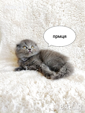 не е красив той е уникален 
