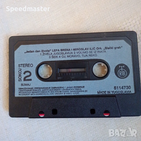 Lepa Brena I Miroslav Ilic