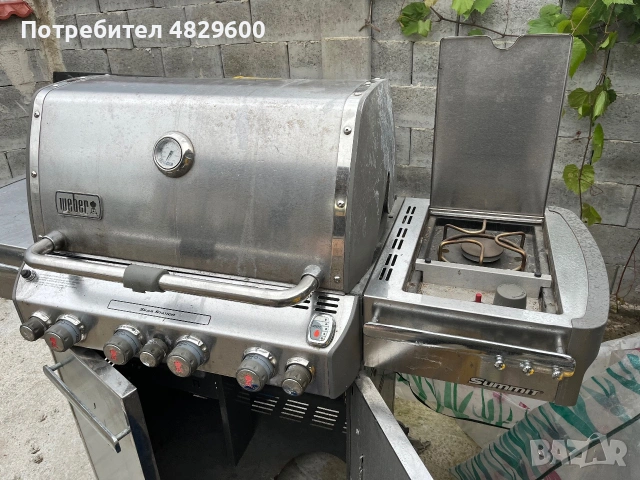 Скара на газ профисионална, снимка 4 - Барбекюта - 54971042