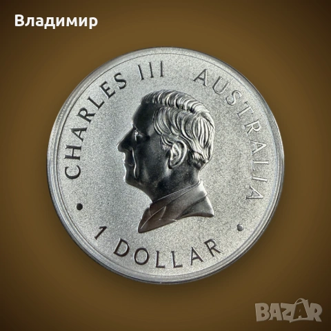 Сребърна монета 1 oz Australian Brumby Австралийско Бръмби– Perth Mint, .9999 1 унция сребро. Сребър, снимка 2 - Нумизматика и бонистика - 54686037