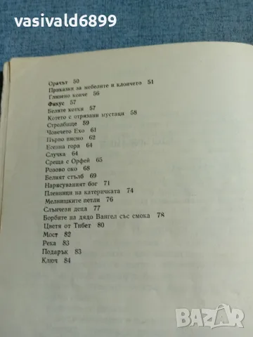 Иван Арнаудов - Пеша по въздуха , снимка 6 - Детски книжки - 55401772