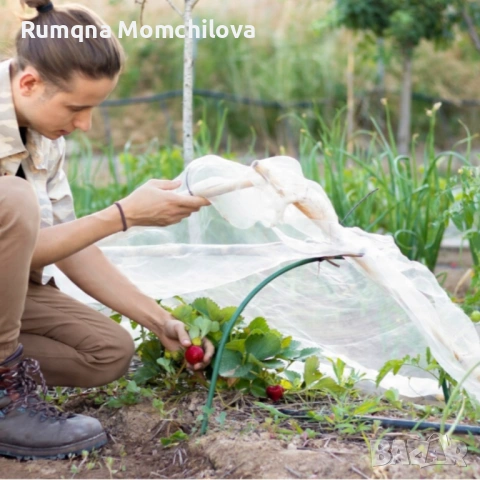 Мини оранжерия , снимка 3 - Оранжерии - 54139229