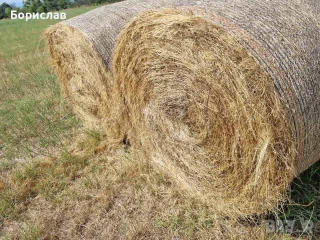 Продавам Бали сено, снимка 3 - За селскостопански - 55352644