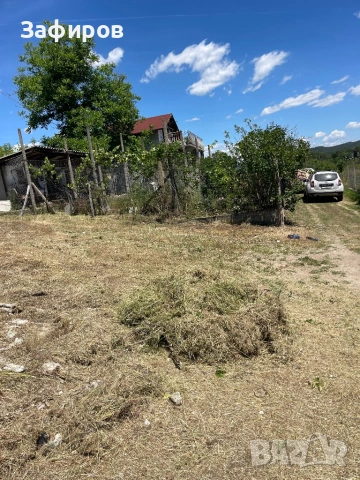 Косене на дворове, рязане на храсти и клони, снимка 6 - Други услуги - 54799312