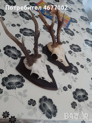 красиви сръндаци, снимка 2 - Антикварни и старинни предмети - 54317069