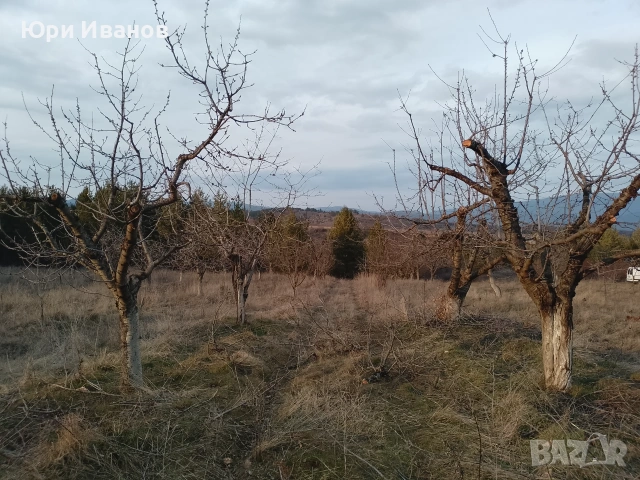 Овощна градина в с.Соволяно , снимка 4 - Земеделска земя - 53395499