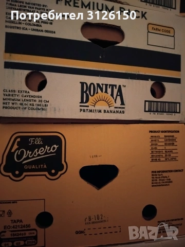 Kashoni ot Banani,Кашони от Банани , снимка 2 - Градински цветя и растения - 54163027