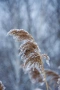 Nikon 18-200mm f3.5-5.6 AF-S Nikkor G ED VR обектив Никон, снимка 7