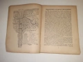 Биография на БРАТЯ МИЛАДИНОВИ 1932 г. Ив . Ан . Миладинов, снимка 5