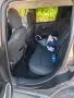 Джип Jeep renegade, снимка 6