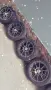 Джанти Nissan Micra- 15" с гуми 195/45/15, снимка 1