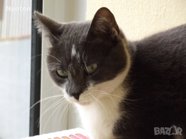 Цифров фотоапарат FUJIFILM Finepix S2980, снимка 12 - Фотоапарати - 54237940