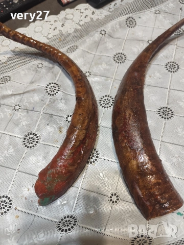 Стари рога от овен