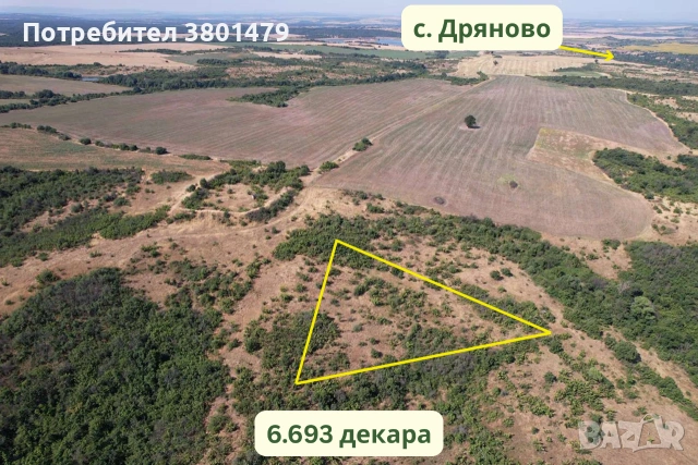 Продавам 20.634 дка земя в село Дряново ВИСОКА РЕНТА, снимка 4 - Земеделска земя - 55259685