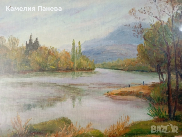 Картина-пейзаж, снимка 4 - Картини - 54653736