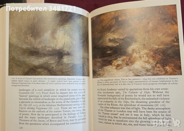 Визуална история на английското изобразително изкуство / A Concise History of English Painting, снимка 13 - Изкуство, музика, кино и фотография - 55065435