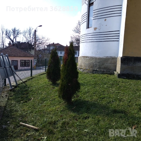 Косене на трева..., снимка 9 - Други услуги - 48862603