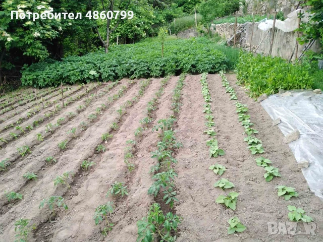 Продавам къща в с. Орешец, снимка 5 - Къщи - 55127321