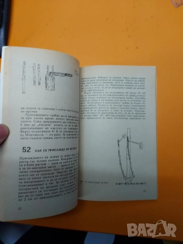 Книга за лозаря, снимка 5 - Специализирана литература - 54391138