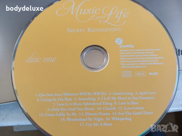 аудио компакт дискове без обложки, снимка 14 - CD дискове - 50533116