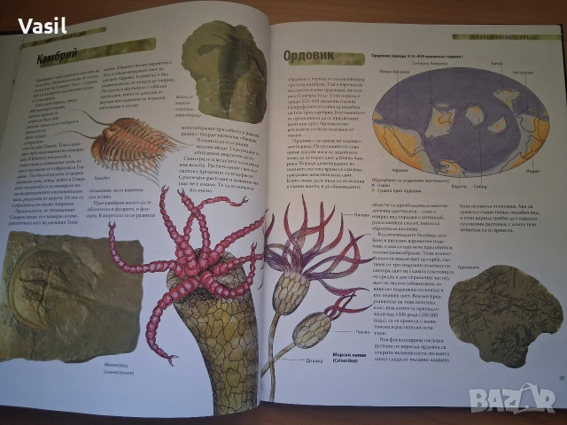 3 броя книги за динозаври, снимка 13 - Специализирана литература - 54902507