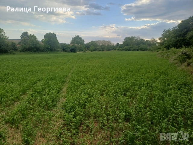 Земя - градина , снимка 2 - Парцели - 54726990
