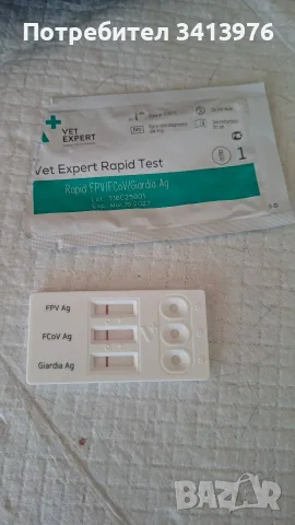 Подарява женска котка, снимка 4 - Руска синя котка - 55695919