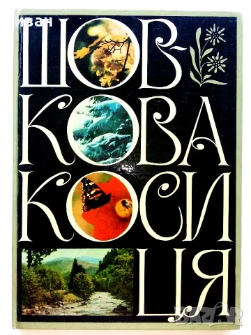 Фотоалбум " Шелковый цветок "  - 1973г.