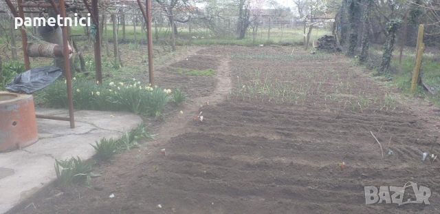 Продава се едноетажна масивна къща , снимка 7 - Къщи - 54085651