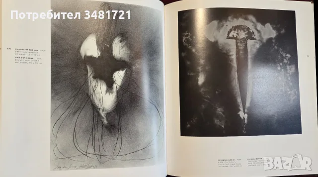 Helmut Schober. Light-Licht, снимка 14 - Изкуство, музика, кино и фотография - 55361887