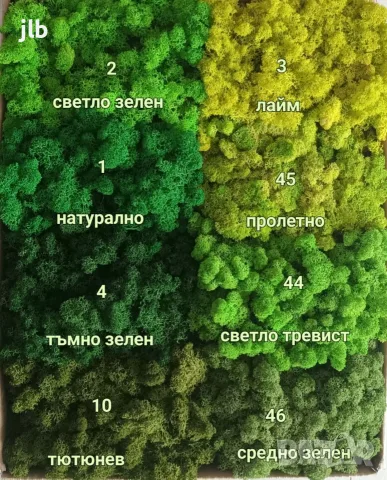 Скандинавски мъх за живи стени, панаСкандинавски мъх, снимка 2 - Декорация за дома - 36784939