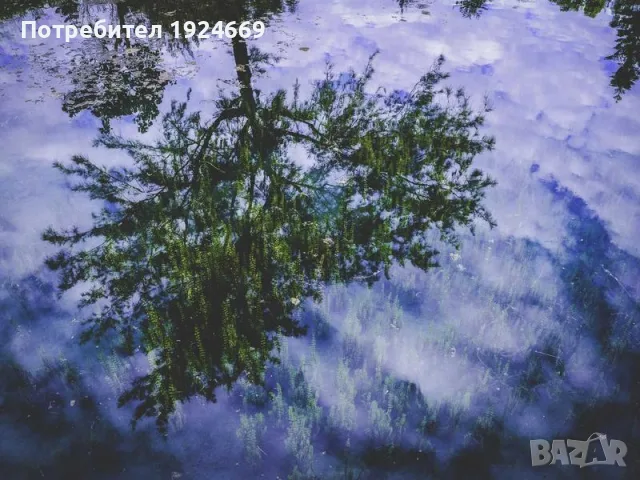 Мощен редуктор за промишлено оборудване 8862, снимка 2 - Резервни части за машини - 55445560