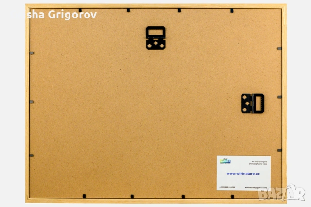 Фотокартина с кошути, снимка 3 - Картини - 53961108