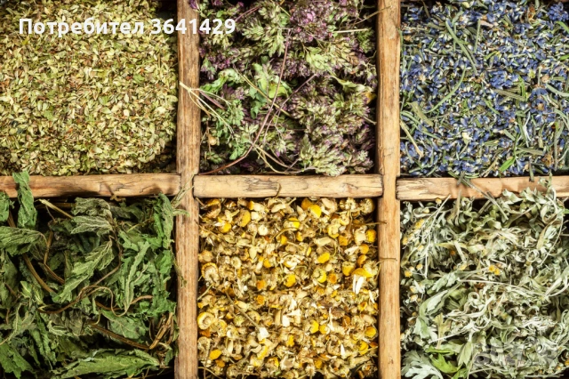 Изкупувам билки на едро