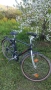 Kettler Alu-Rad ZEG Edition 25 – алуминиев немски велосипед 28"., снимка 1