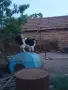 Женска на 3 години, снимка 3