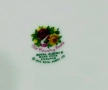 Кръгло плато Royal Albert-Old Country Roses, снимка 8