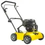Бензинов аератор Texas 460B | 46 см | Briggs & Stratton XR950, снимка 1