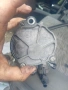 Вакуумна Помпа за Citroen/Peugeot C5 1.6 HDi (2006) D156-1A, снимка 4