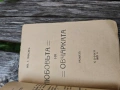 Зимни копнения / Любовта н овчарката . Ив. Г. Янков, снимка 3