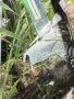 челно стъкло фолксваген бийтъл 2002г, снимка 2