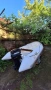 Лодка ZODiAC RIB 3.40, снимка 1