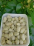 Черници плод , лозови листа , сезонни билки, снимка 4