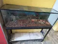Аквариум/Терариум , снимка 3
