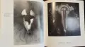 Helmut Schober. Light-Licht, снимка 14