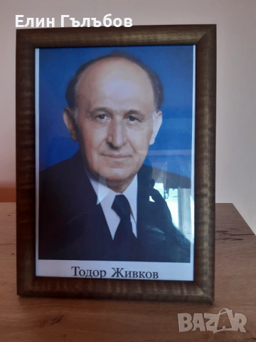 Портрет на Тодор Живков, 25/35 см. в дървена рамка, снимка 4 - Антикварни и старинни предмети - 54157865