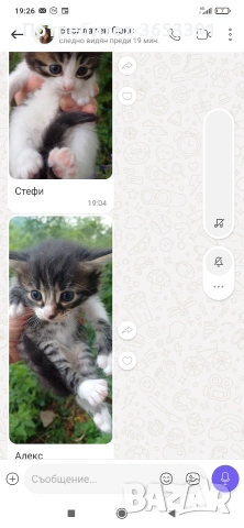 подарявам с благодарност който приеме подарък а